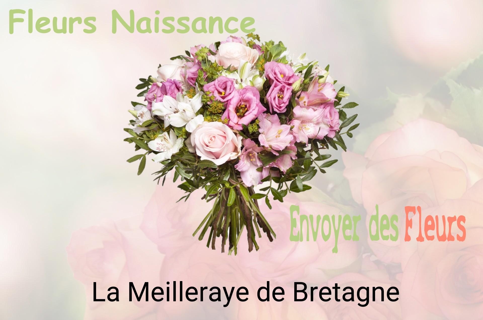 Bouquet de fleurs de naissance livré à La Meilleraye-de-Bretagne